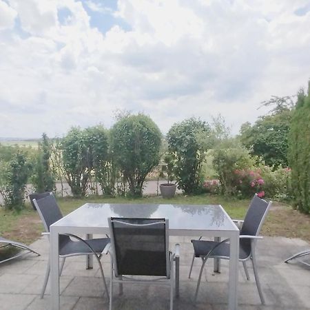 Sonniges 2-Zimmer-Gartenapartment Bietigheim-Bissingen Eksteriør bilde